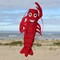 In the Breeze 3D Lobster Windsock - Hanging Outdoor Decoration